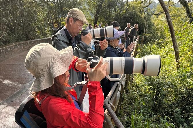 2-Days PRIVATE Brasil & Argentina Experience Iguazu Falls - How hard is the walking?