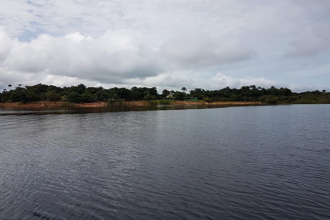 4 Days Amazon Jungle Adventure Tour - Day one: piranhas and wildlife after dark
