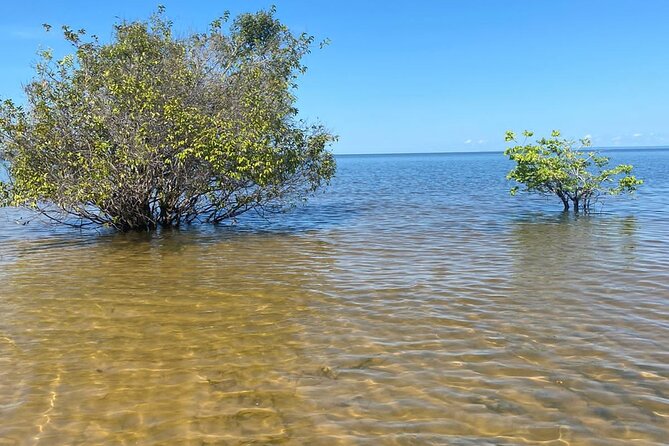 8day expedition of scenic beauty and Amazon traditional culture on Tapajós River - Key points at a glance
