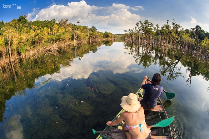 Alter do Chão FLONA Jamaraquá Tour - Key points to know before you book