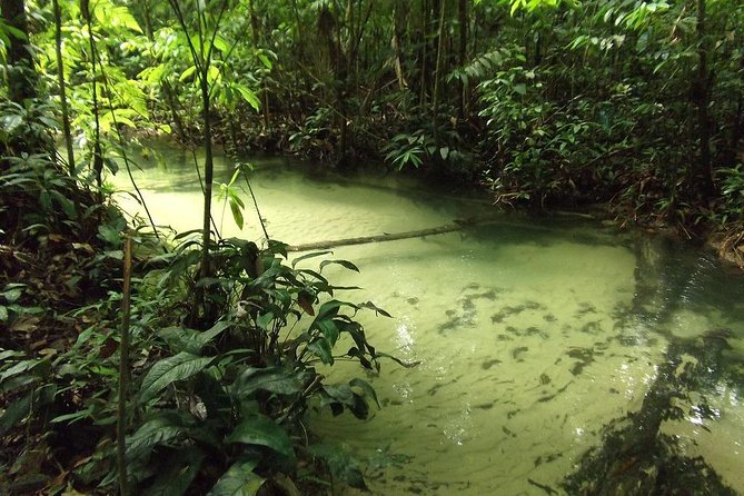 Alter do Chão FLONA Jamaraquá Tour - What the boat ride is really like