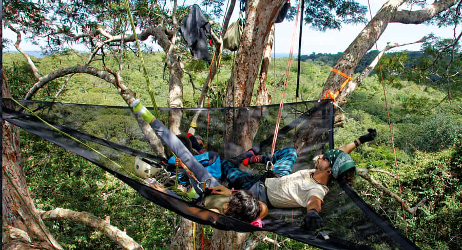 Amazon Jungle 3-Hour Tree Climbing Activity - Key points to know before you climb