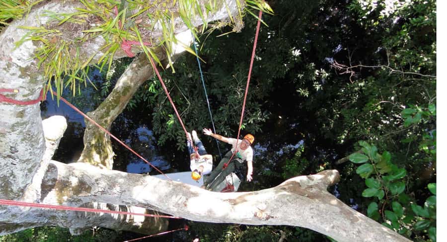 Amazon Jungle 3-Hour Tree Climbing Activity - Reaching the Amazon rainforest from your hotel