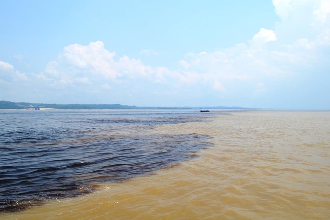 Amazon Negro River Half-Day Expedition Tour - The Rio Negro and the Meeting of the Waters