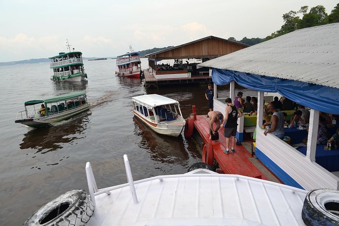 Amazon Negro River Half-Day Expedition Tour - Pink dolphins, swimming, and the ethical question