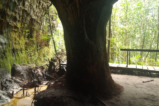 Amazon Rainforest Tour, Trails, Jungle, Caves and Waterfalls - Sucuriju is a quick stop for photographs