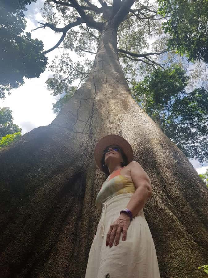 Amazon Safari® Manaus: Day trip on the Amazon River - Who will enjoy this Amazon day trip