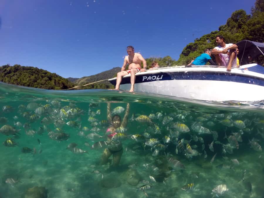 Angra dos Reis and Ilha Grande: Small-Group Fast-Boat Tour - Key points to know before you book