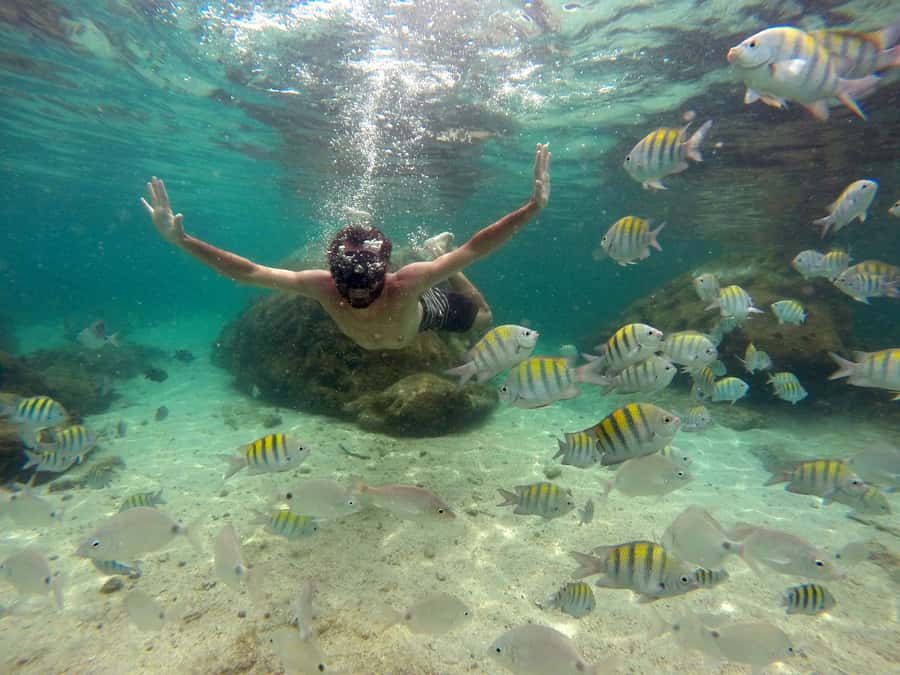 Angra dos Reis and Ilha Grande: Small-Group Fast-Boat Tour - Snorkeling, photos, and the optional upgrade