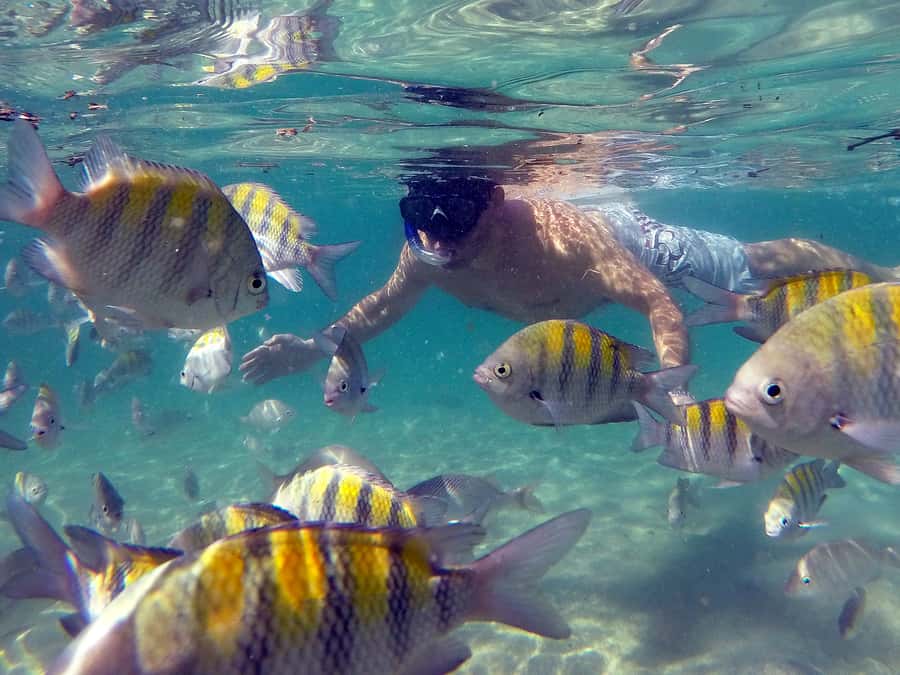 Angra dos Reis and Ilha Grande: Small-Group Fast-Boat Tour - Is $200 good value for a 14-hour day?