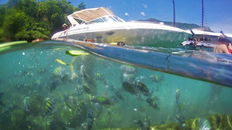 Angra dos Reis: Super Lagoa Azul Speedboat Tour - Araçá Beach and a quieter side of Ilha Grande