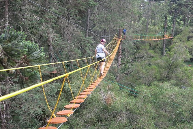 Arborismo in Horto Florestal - Campos Do Jordão - Safety instructions are part of the experience