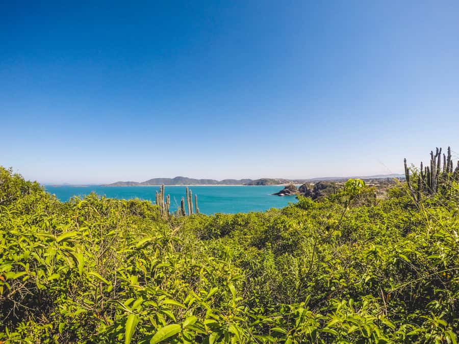 Armação dos Búzios: Walk Through the Natural Pools in Búzios - Amores Beach and the optional walk toward Ferradurinha