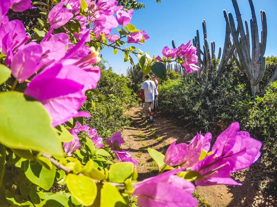 Armação dos Búzios: Walk Through the Natural Pools in Búzios - Reaching Pedra do Guardião