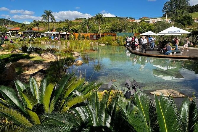 Art Of Wine – Travel Through The So-Called Wine Route Visiting Various Wineries - Three hours for lunch and a slower afternoon