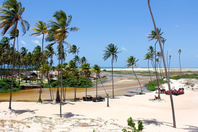 Barra de Punaú Tour - Departing from Natal - Key points to know before booking