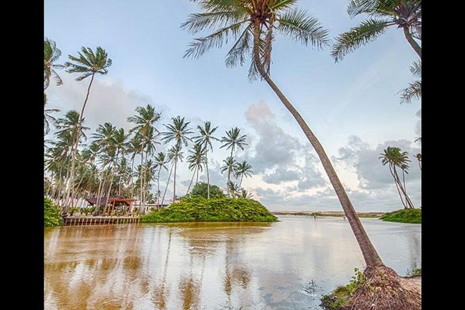 Barra de Punaú Tour - Departing from Natal - Optional activities on the dunes and water