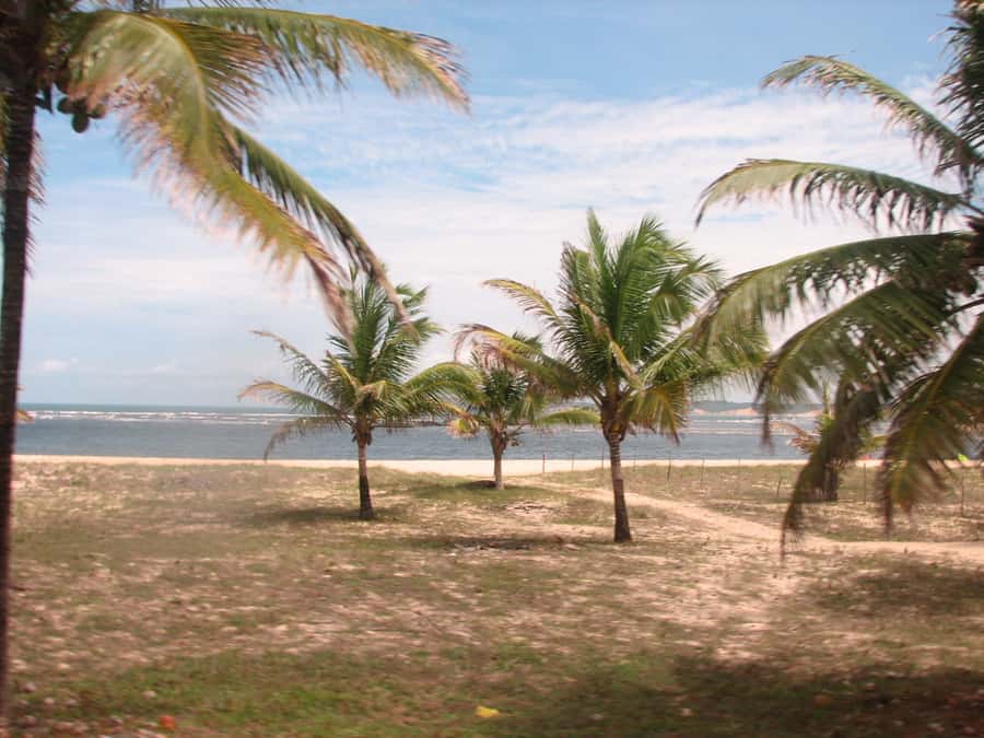 Barra do Cunhaú Full-Day Trip from Natal - Key points to know before booking