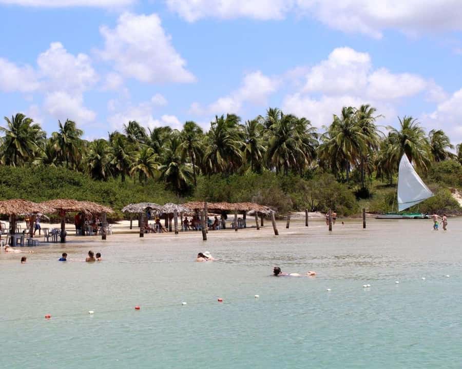 Barra do Cunhaú Full-Day Trip from Natal - Should you book Barra do Cunhaú?