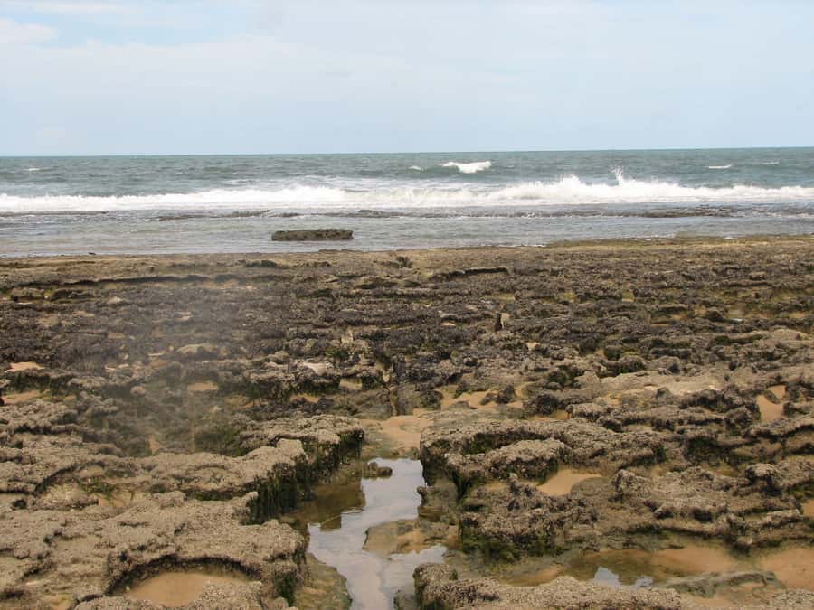 Barra do Cunhaú Full-Day Trip from Natal - A catamaran through mangroves and river channels