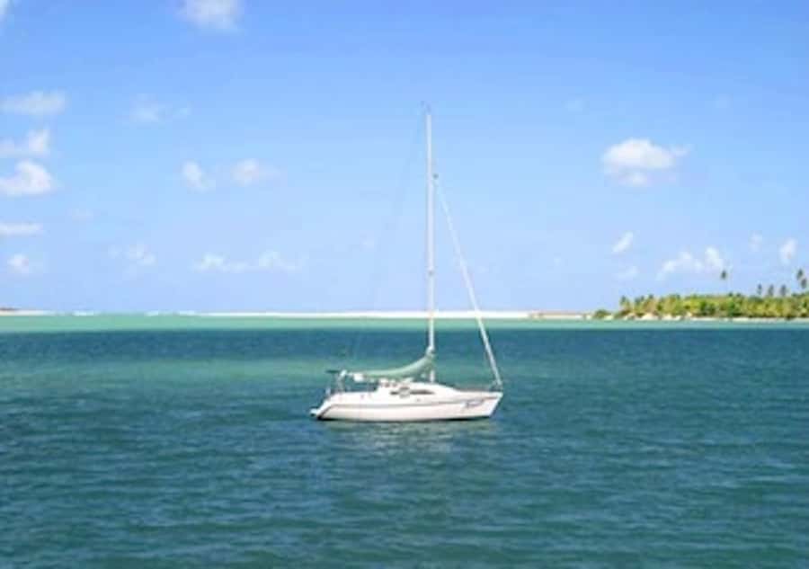 Barra do Cunhaú Full-Day Trip from Natal - Guide language and service