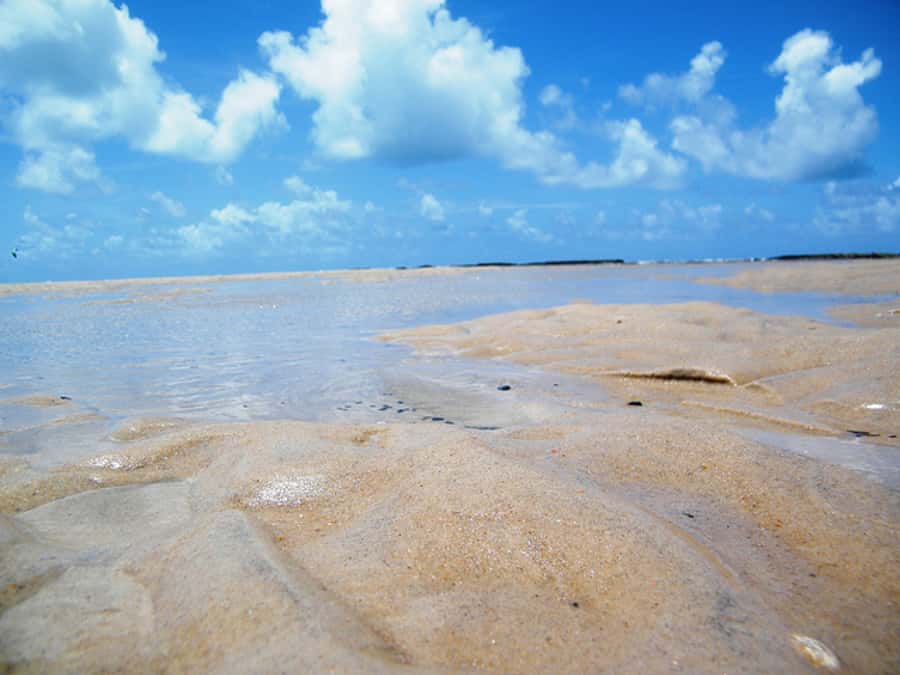 Barra do Cunhaú Full-Day Trip from Natal - What to pack for the river and beach
