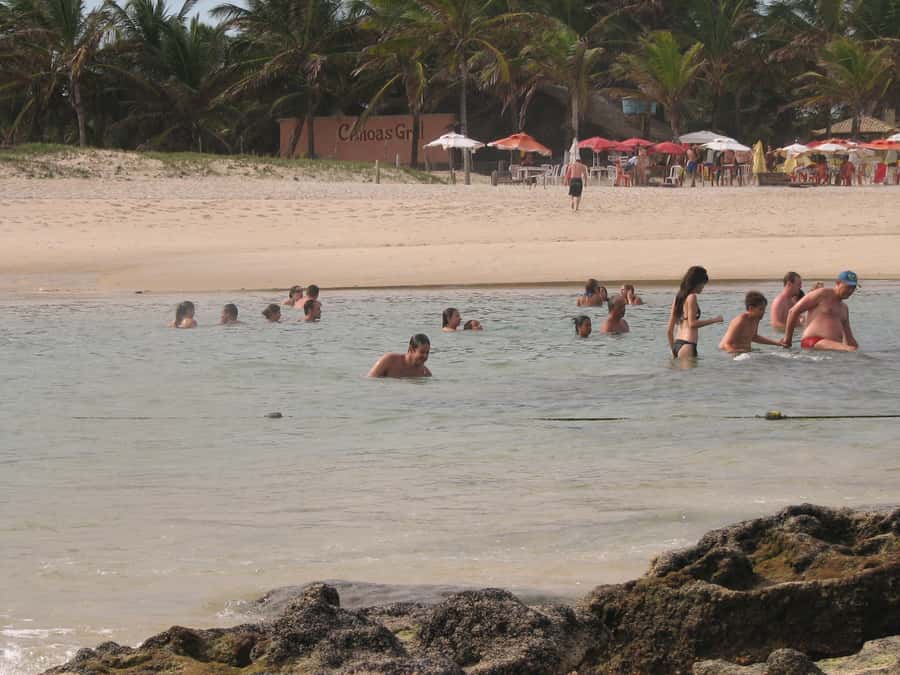 Barra do Cunhaú Full-Day Trip from Natal - Who will enjoy this day most