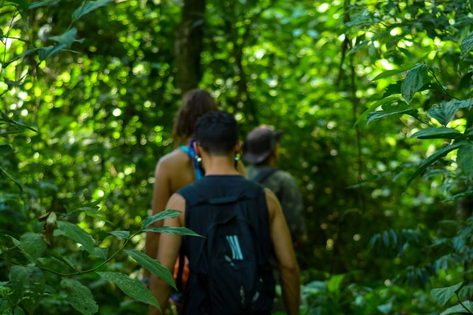 Bathing in the Forest Trail in Foz do Iguaçu - A slower side of Iguaçu National Park