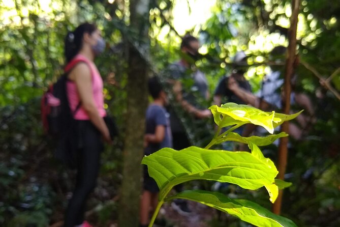 Bathing in the Forest Trail in Foz do Iguaçu - Meeting your guide at the park entrance