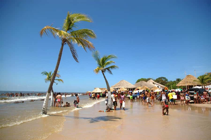 Belém: 2, 3 or 4-Day Marajó Island Excursion with Lodging - Key points to know before booking