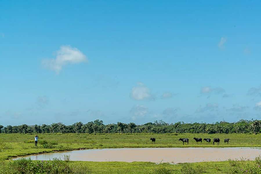 Belém: 2, 3 or 4-Day Marajó Island Excursion with Lodging - Is $400 per person a fair price?