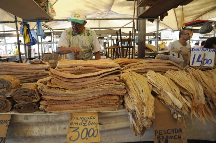 Belém: Half-Day City Tour with Ver-o-Peso Market Visit - Starting at Ver-o-Peso Market by Guajará Bay