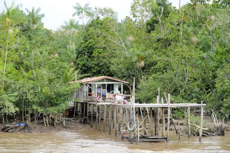 Belém: Half-Day Furos Boat Tour & Riverside Community Visit - Key points to know before you book