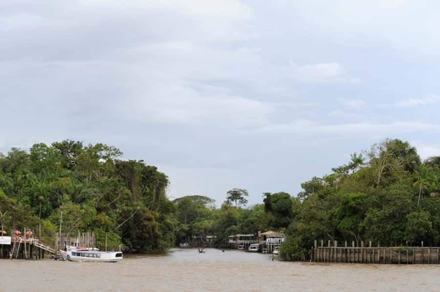Belém: Half-Day Furos Boat Tour & Riverside Community Visit - Seeing Amazon lowland forest from the water