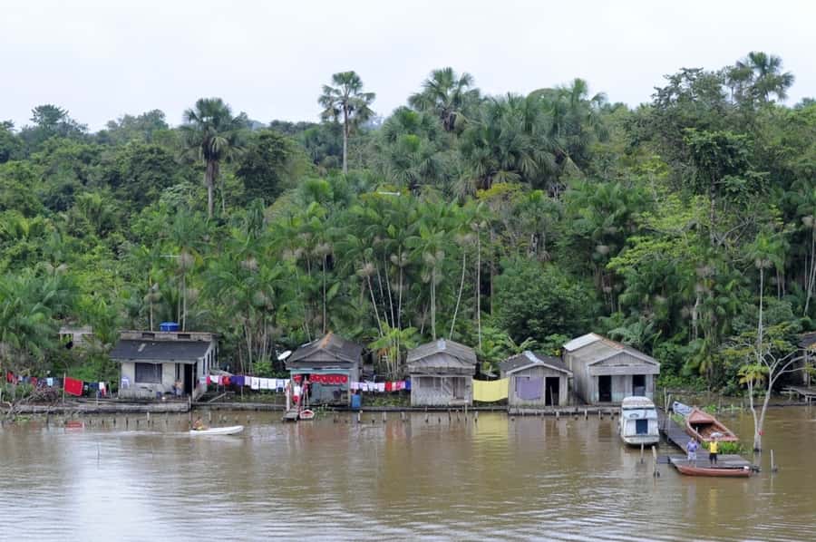 Belém: Half-Day Furos Boat Tour & Riverside Community Visit - What to pack for the boat and forest