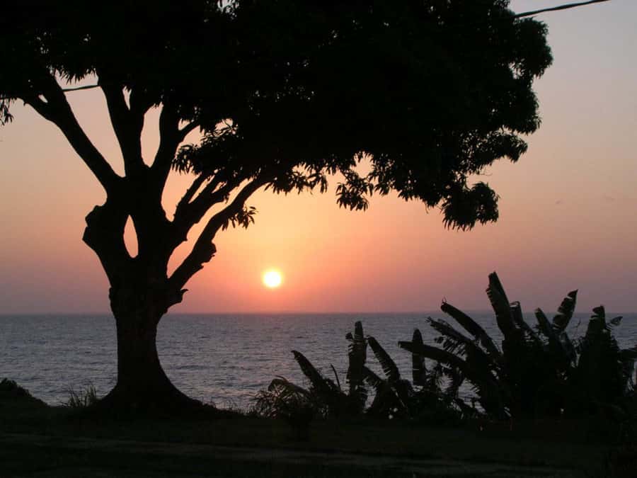 Belém: Ilha do Mosqueiro River Beach Trip - Food, cash, and the island’s local character