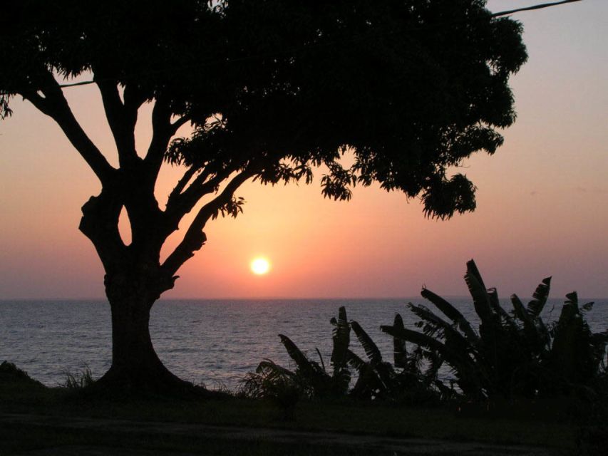 Belém: Ilha do Mosqueiro River Beach Trip - Who will enjoy this day trip most