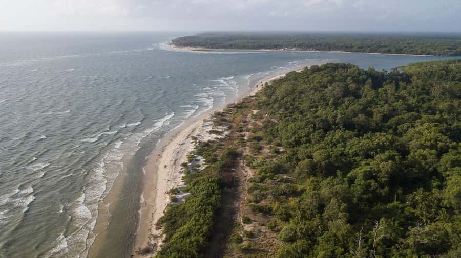 Belém: Marajó Island Day Trip with Buffalo Farm Visit - Salvaterra, UTRAN, and the story of açaí