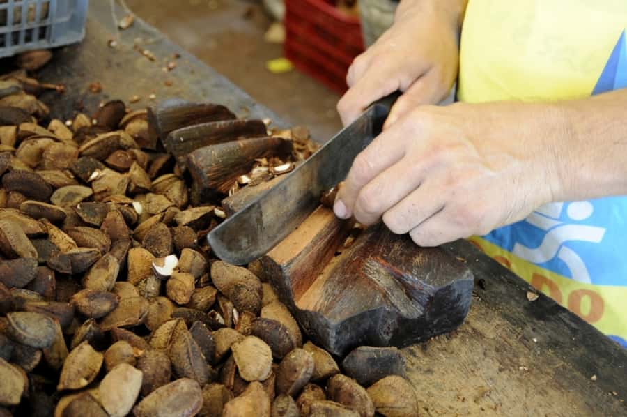 Belém: Ver-o-Peso Market and Full-Day City Tour with Lunch - Why this Belém day works