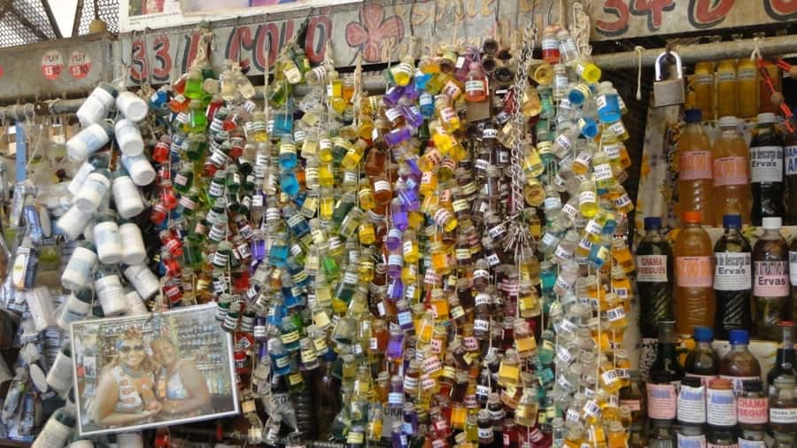 Belém: Ver-o-Peso Market and Full-Day City Tour with Lunch - Forte do Presépio and the beginnings of Belém