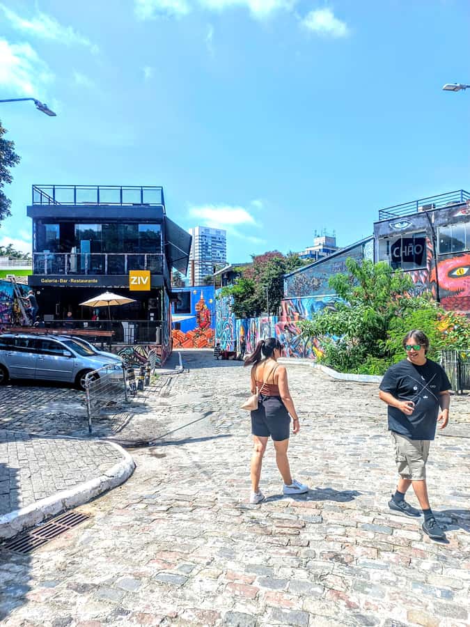 Best São Paulo City Tour History 5Hours Private Experience. - Additional choices, from the aquarium to the zoo