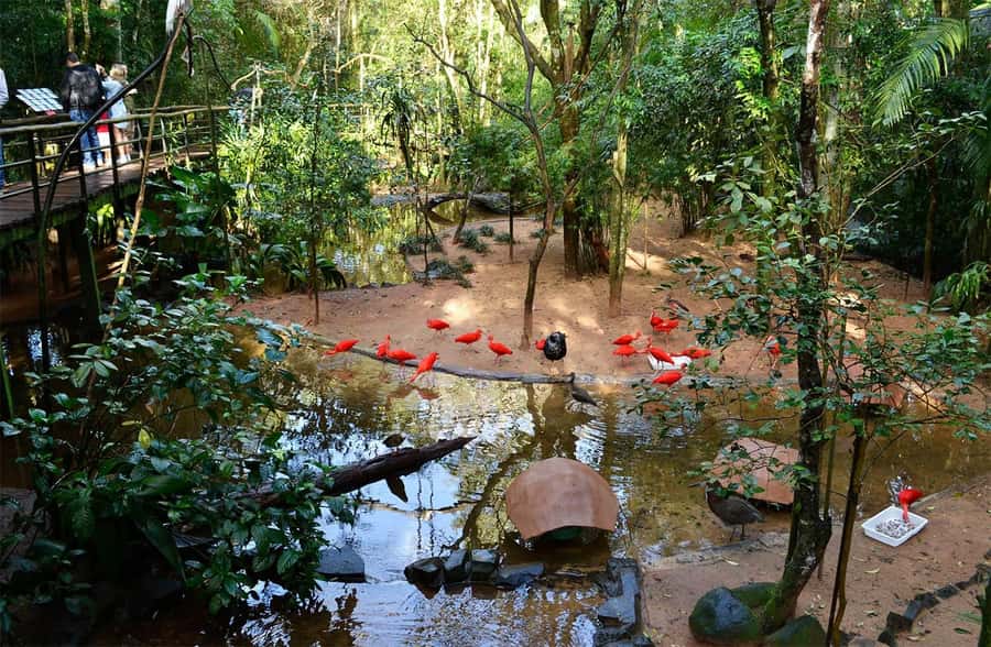 Brazilian Falls, Bird Park and Itaipu Dam - How the guide affects the day