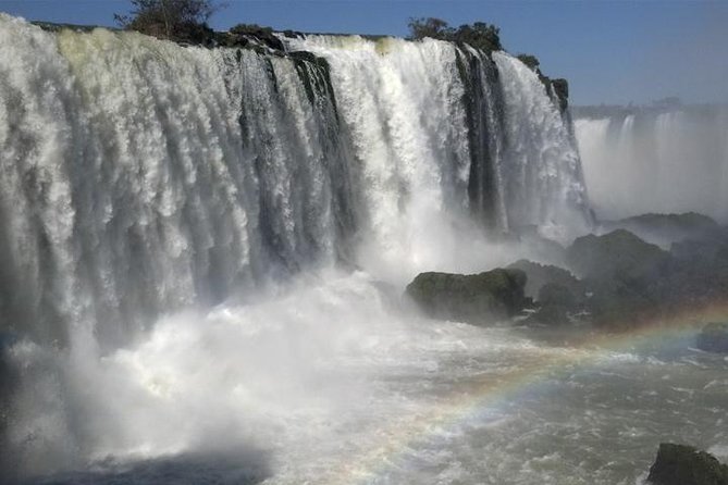 Brazilian Falls, Bird Park and Itaipu Dam from Foz do Iguaçu - Two hours among rescued and native birds