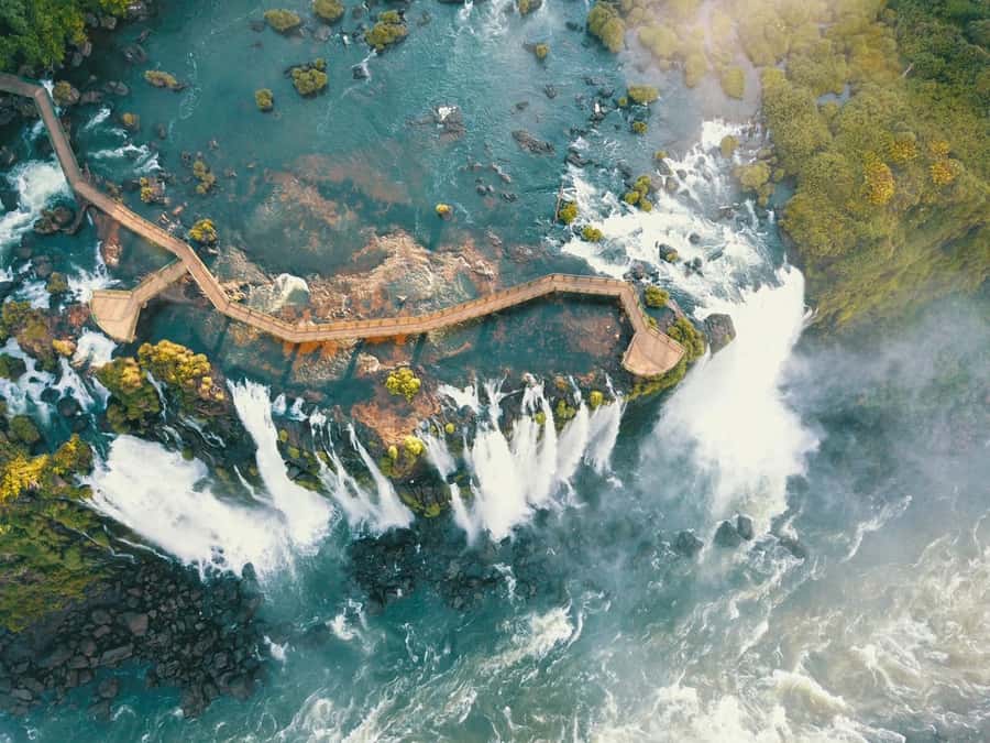 Brazilian Iguassu Falls,Bird park Boat Safari all tickets - What the private guide changes