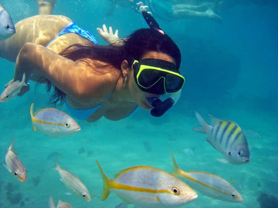Búzios Day Trip from Rio de Janeiro - Why Búzios makes a long day from Rio