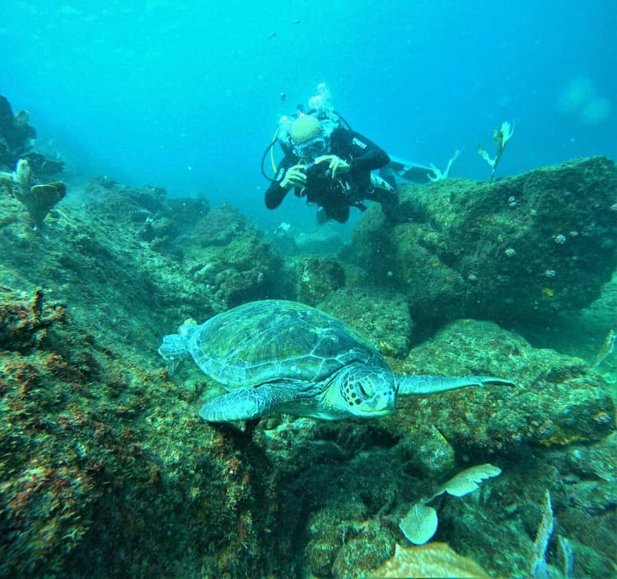 Buzios - DIVING EXPERIENCE - Key points to know before booking
