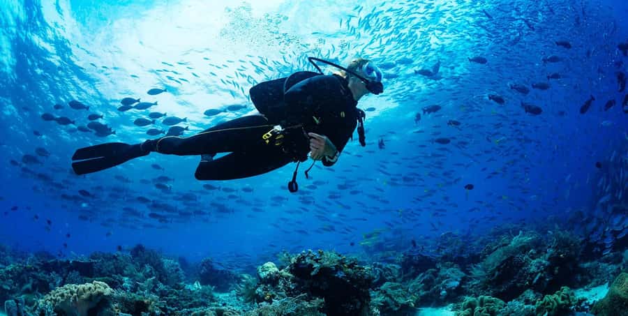 Buzios - DIVING EXPERIENCE - Meeting João Fernandinho at the right entrance