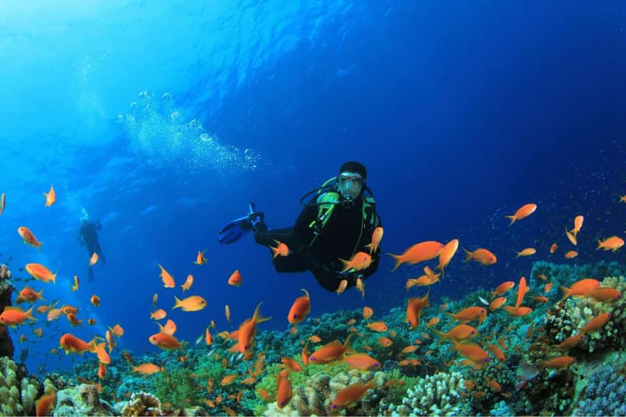 Buzios - DIVING EXPERIENCE - Exploring the reef at João Fernandinho