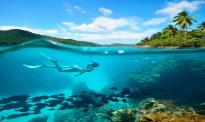 Buzios – DIVING EXPERIENCE