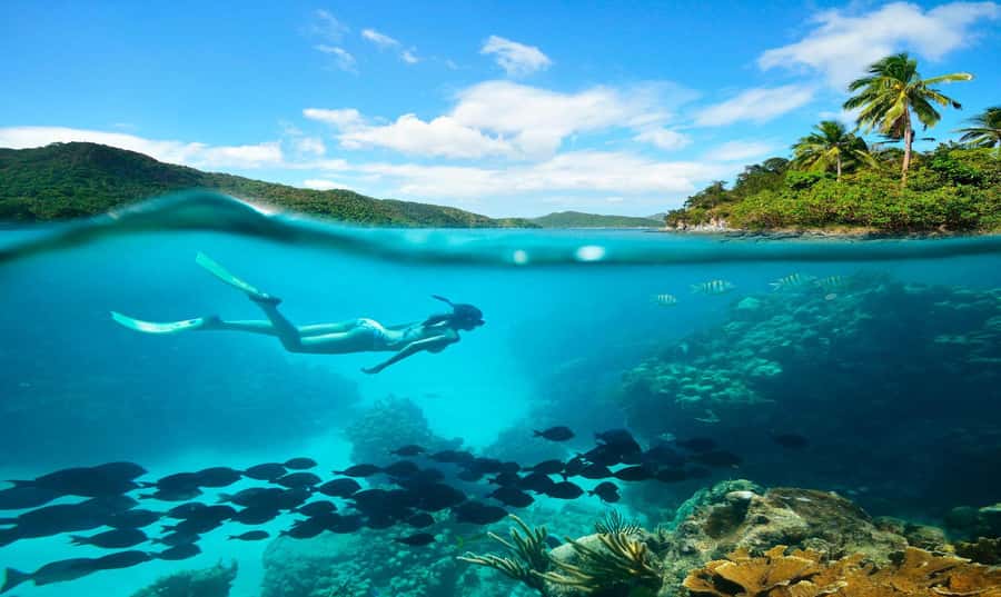 Buzios - DIVING EXPERIENCE - The 1.5-hour lesson makes this friendly to beginners